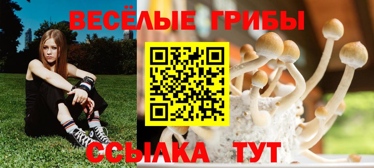 Галлюциногенные грибы Psilocybe  Вход с VPN  Галлюциногенные грибы прущие грибы  Йошкар-Ола 